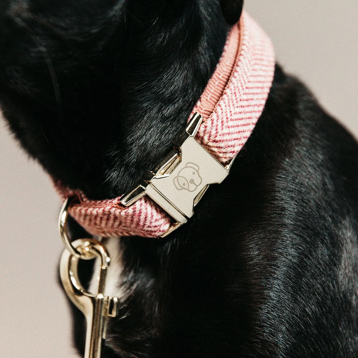 Kentucky Dogwear Wool Dog Collar - Light Pink