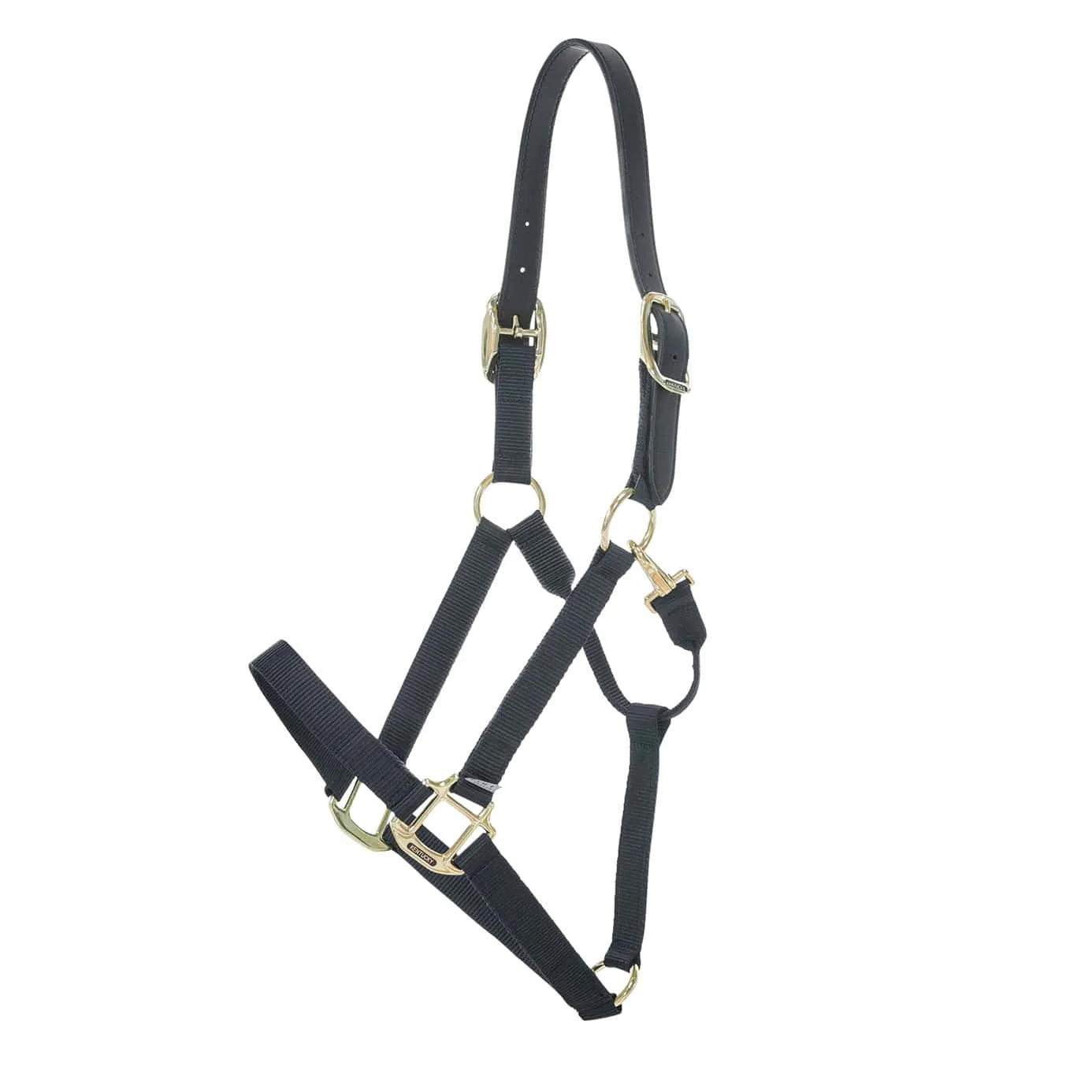 Kentucky Horsewear Nylon Breakaway Headcollar - Black