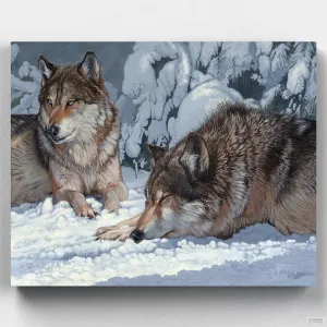 Peaceful Greys: Captivating Wolf Paint by Numbers Kit